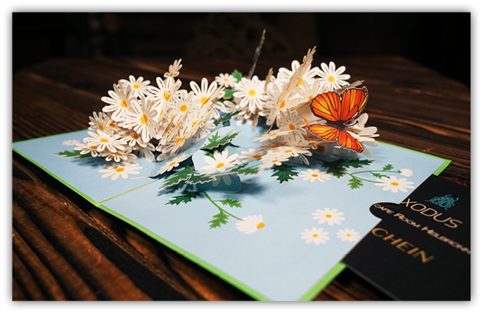 Pop-Up Karte: Gänseblümchen mit Schmetterling